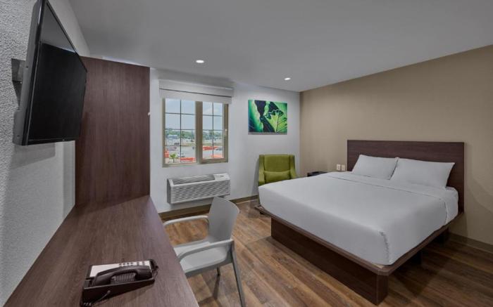 Extended Suites Querétaro Juriquilla