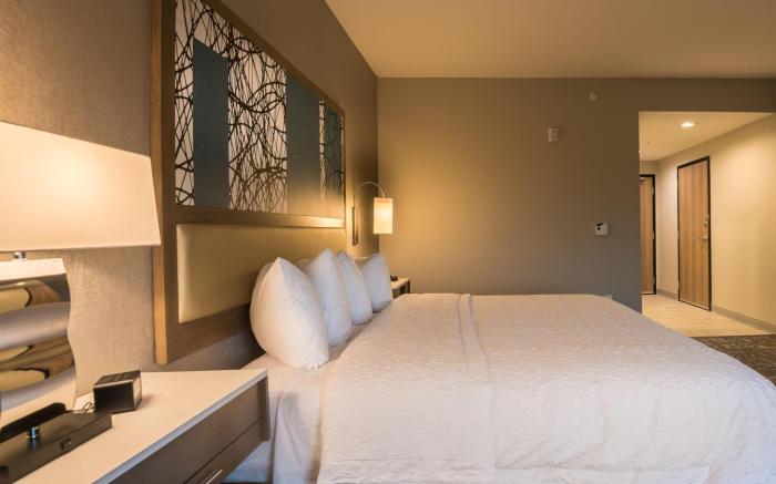 Hampton Inn & Suites Dallas-The Colony, TX
