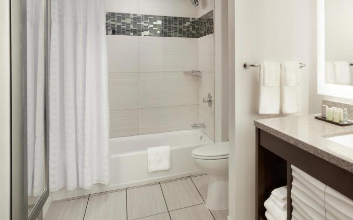 Embassy Suites by Hilton Atlanta NE - Gwinnett Sugarloaf