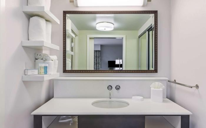 Hampton Inn & Suites Houston I-10 West Park Row