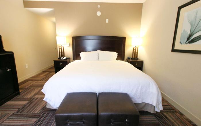 Hampton Inn and Suites Flowery Branch