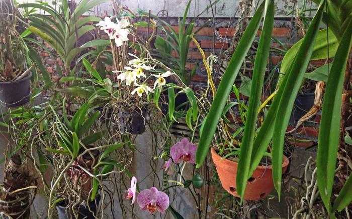 Tonkong Guesthouse & Restaurant