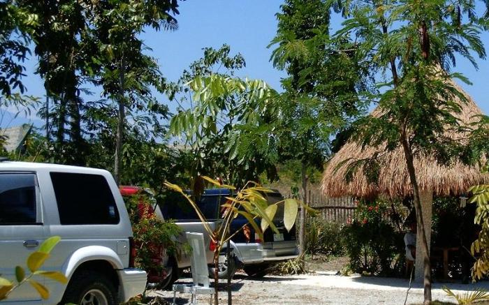 Sea Turtle House
