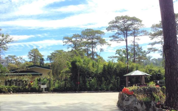 Log Cabin Hotel