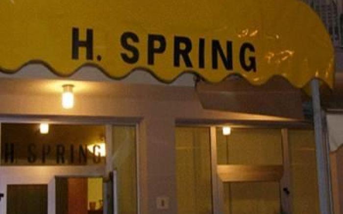 Hotel Spring