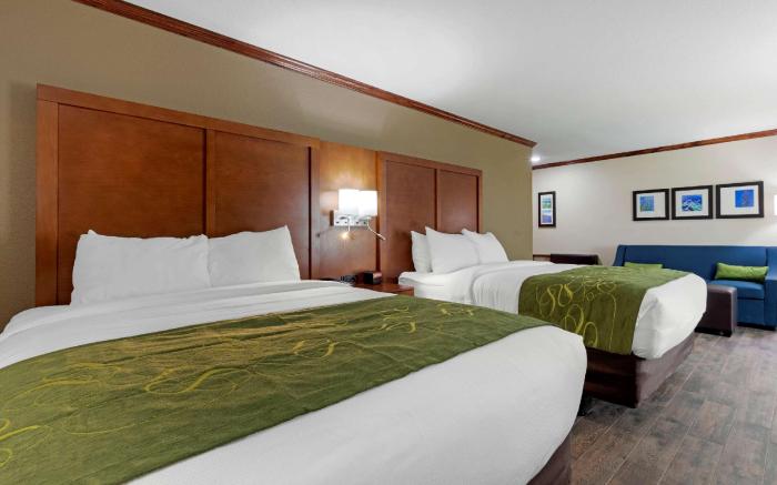 Comfort Suites West Monroe near Ike Hamilton Expo Center