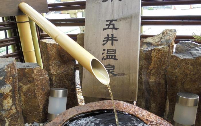 Business Hotel Goi Onsen