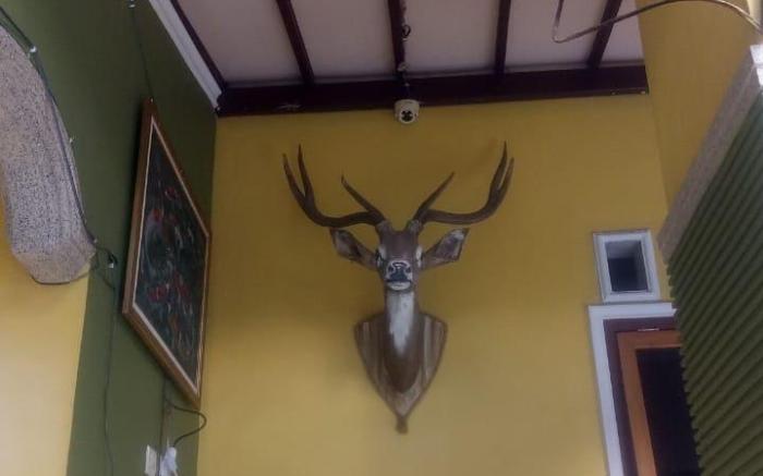 OYO Life 90646 Villa Karsinem Pasuruan