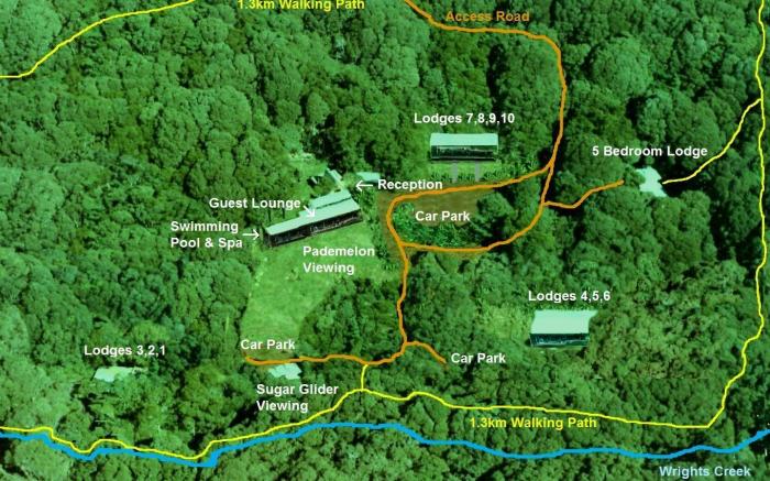 Chambers Wildlife Rainforest Lodges