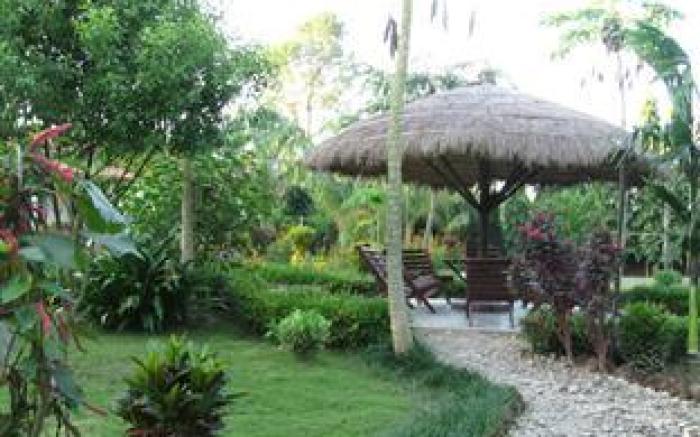 Sauraha Resort