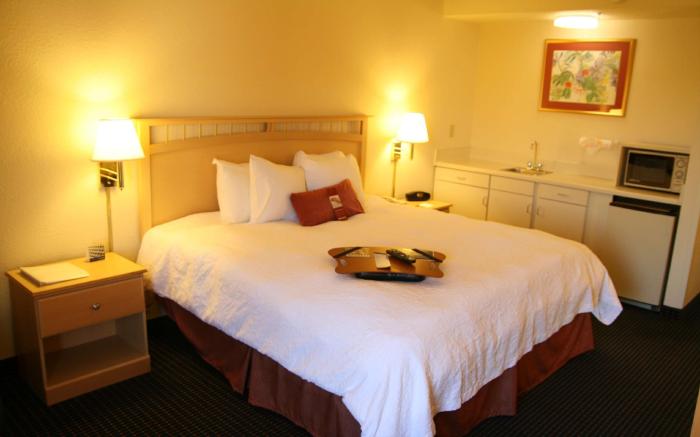 Hampton Inn Atlanta-Woodstock
