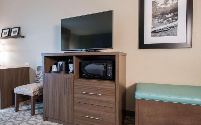 Hampton Inn Greenville/I-385 Haywood Mall