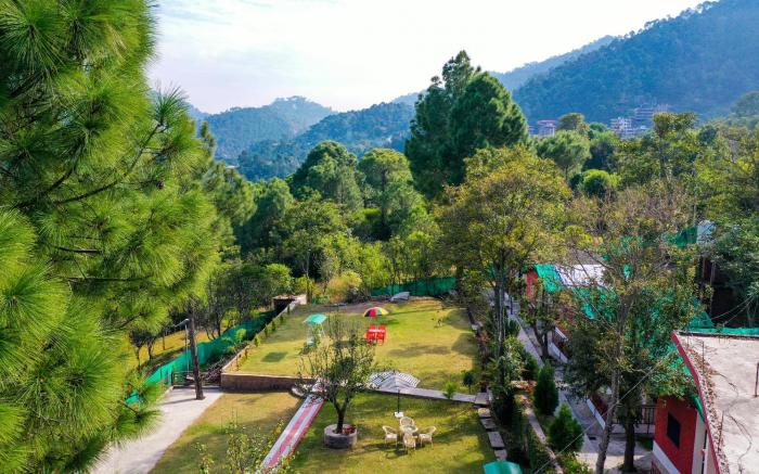 Kasauli Nature Inn