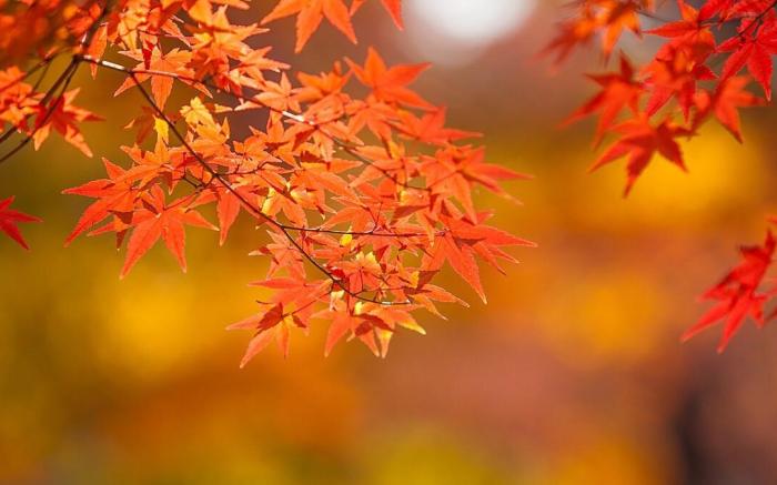 Pocheon Sanwoolteo Pet Friendly Pension