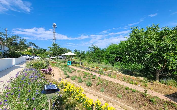 Goseong Maris Pension