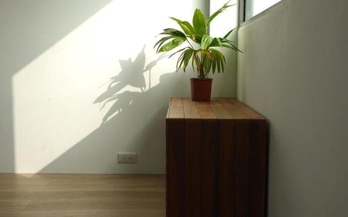 Wootz- Ocean-view Duplex Suite