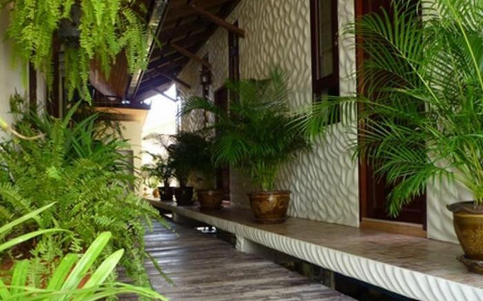 The Mangrove Hideaway Koh Chang
