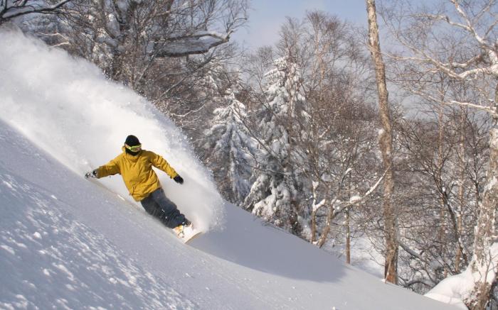 Furano Natulux Hotel