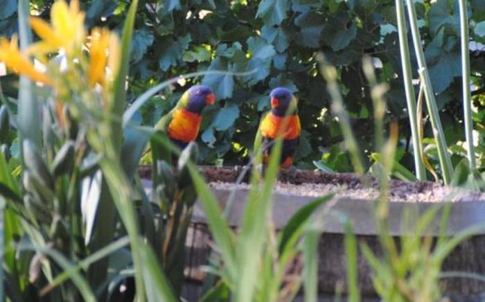 Amble at Hahndorf B&B
