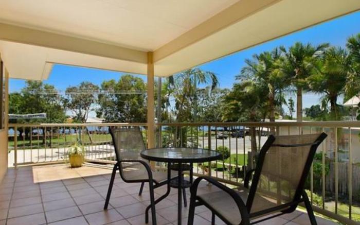 Noosa River Palms