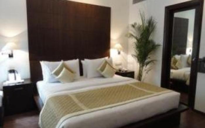 Divine Paradise Tavisha