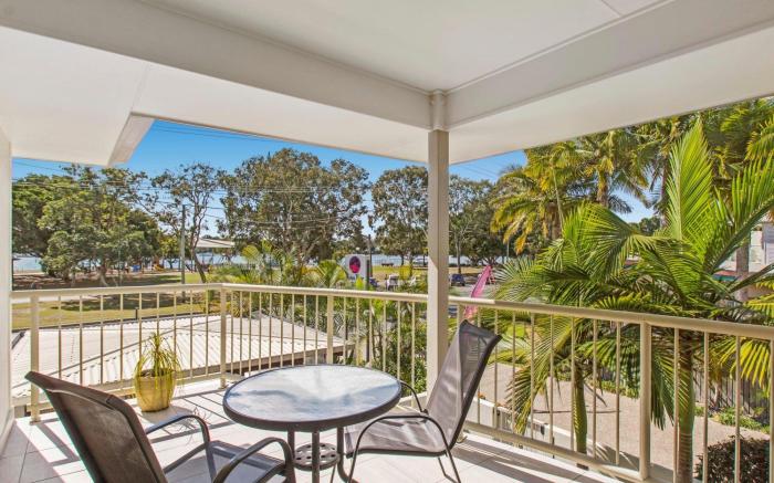 Noosa River Palms