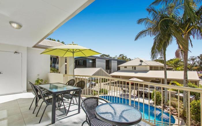 Noosa River Palms