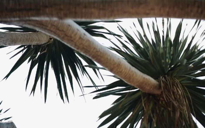 Palm Crescent Hua Hin Resort
