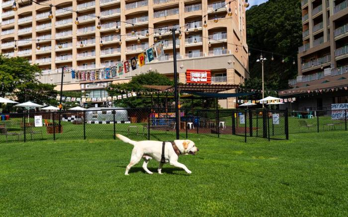 SONO PET CLUBS RESORTS VIVALDIPARK