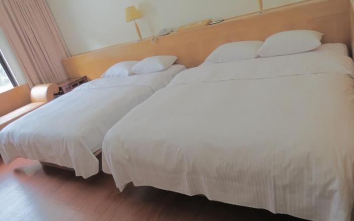 Dong Tair SPA Hotel
