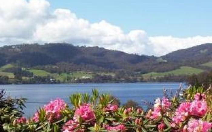 Donalea Bed & Breakfast