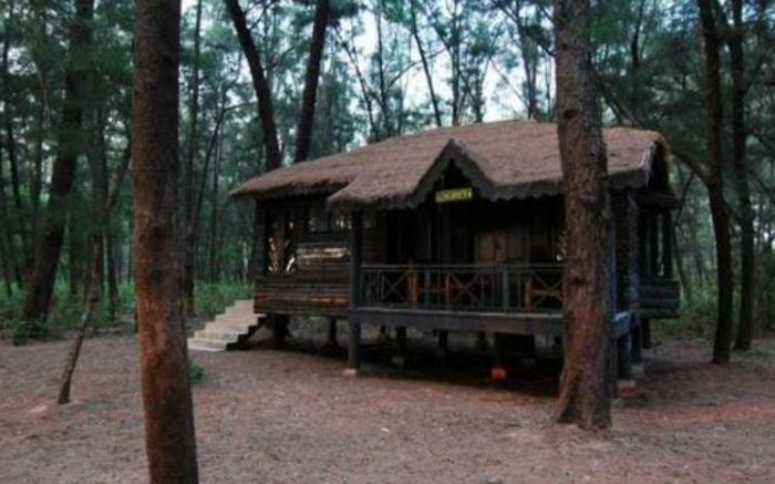 Devbagh beach resort - Junglelodges 