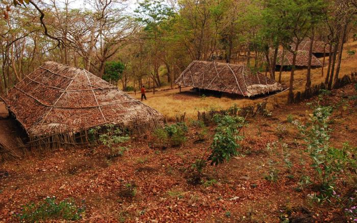 K Gudi Wilderness Camp-Jungle Lodges