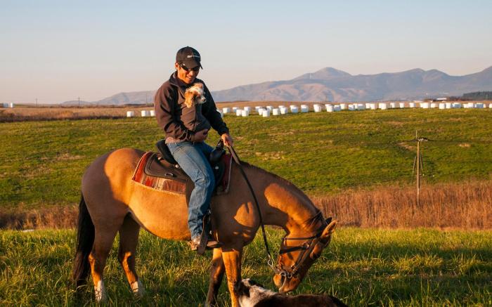 El Patio Ranch