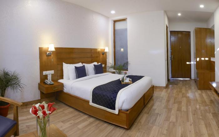 Treehouse Chail Villas
