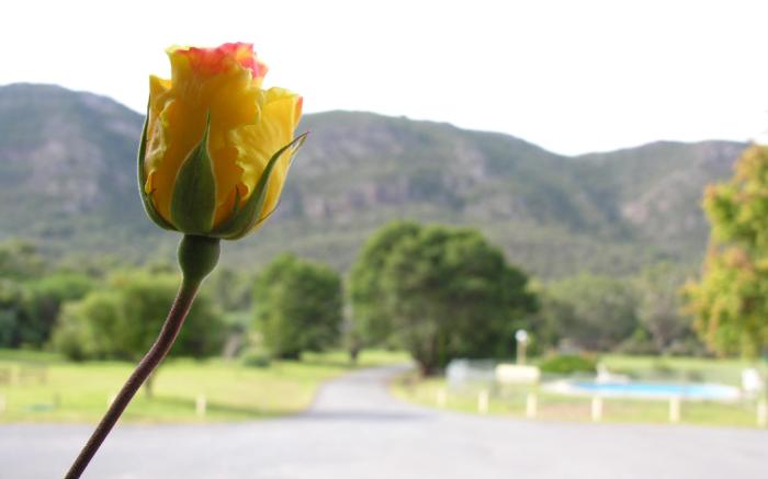The Grampians Motel