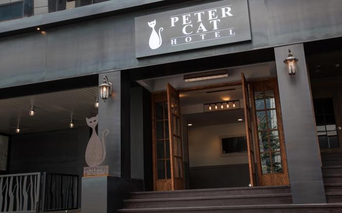 Petercat Hotel Sinchon (Hongdae)