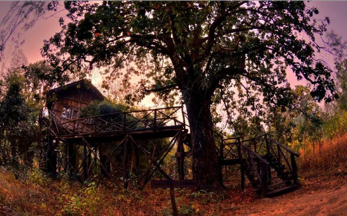 Pugdundee safaris - Tree House Hideaway