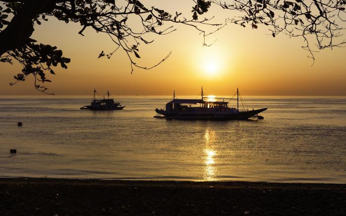 Mike's Dauin Dive Resort