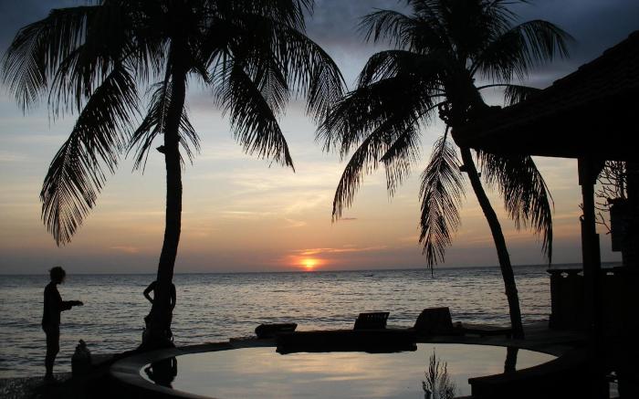 Paradise Palm Beach Bungalows