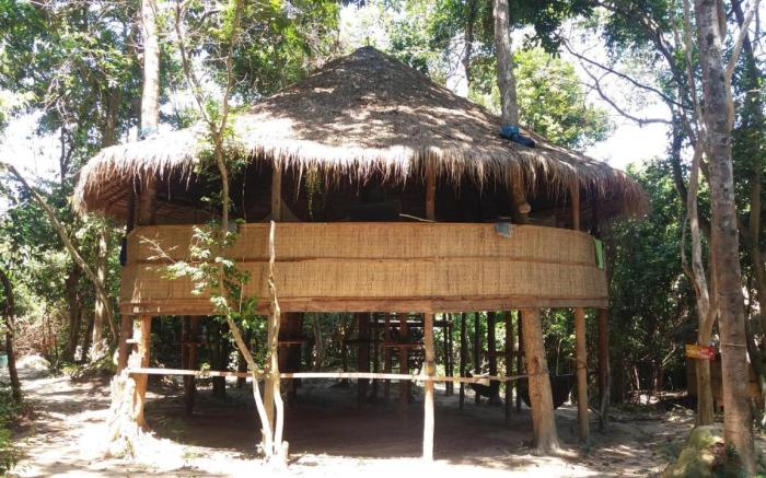 Kactus - Your Island Sanctuary