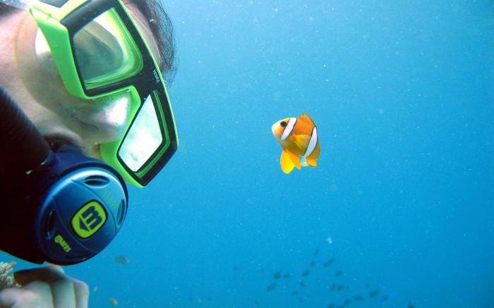Blue Star Dive Resort