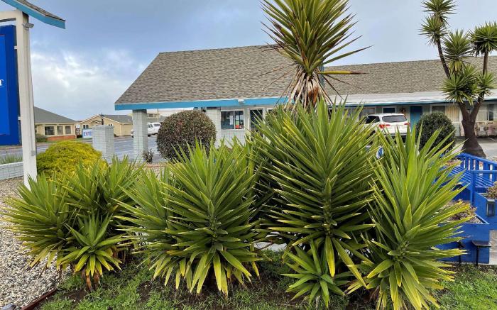 Baymont by Wyndham Fort Bragg