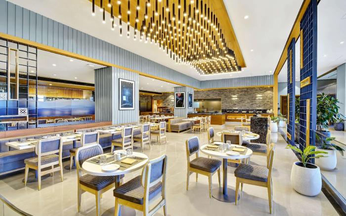 Radisson Hotel Nathdwara