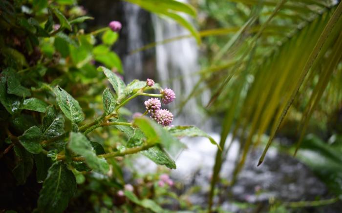 Waterfalls Boutique Hotel