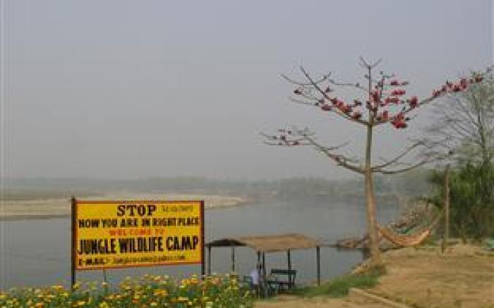 Jungle Wildlife Camp