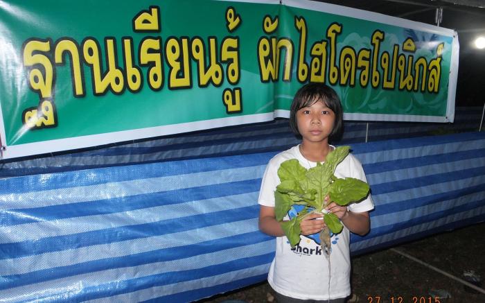 Go Green Resort