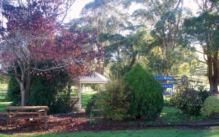 Toora Lodge Motel