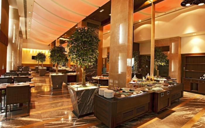 Radisson Blu Hotel Chennai City Centre