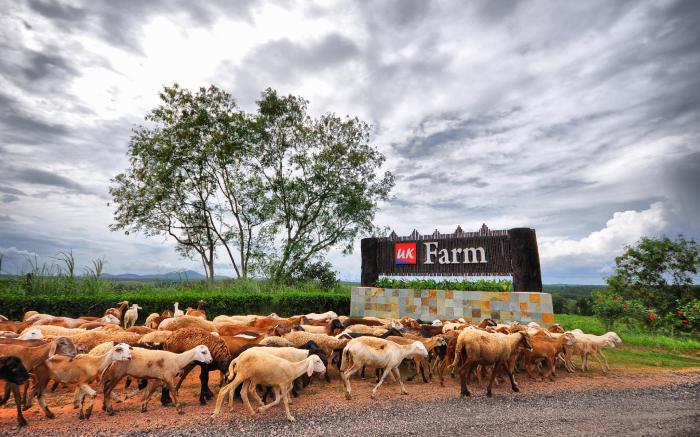 UK Farm Agro Resort